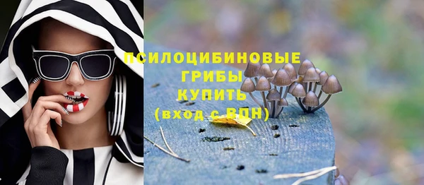 спиды Арсеньев