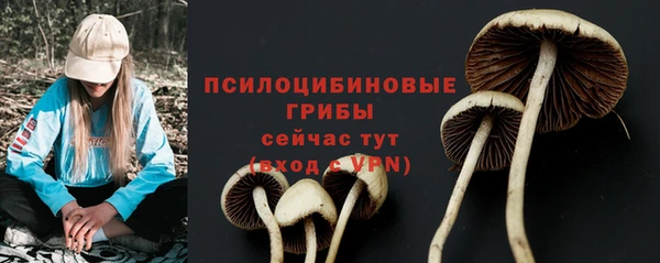 спиды Арсеньев
