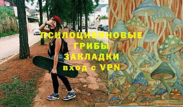 спиды Арсеньев