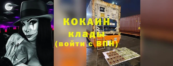 шишки Аркадак