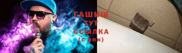 гидра Вяземский