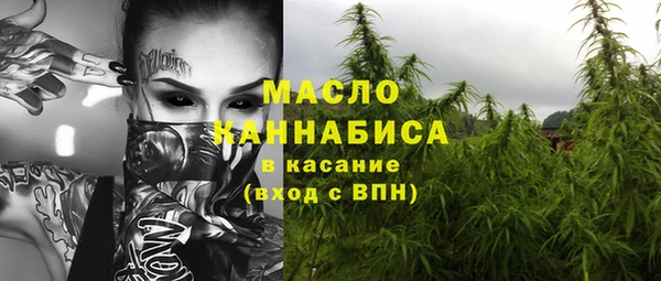 шишки Аркадак