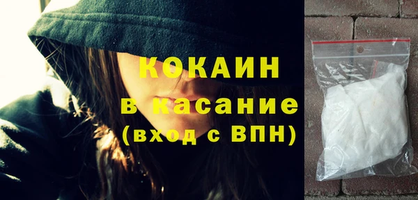 шишки Аркадак