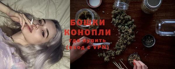 шишки Аркадак